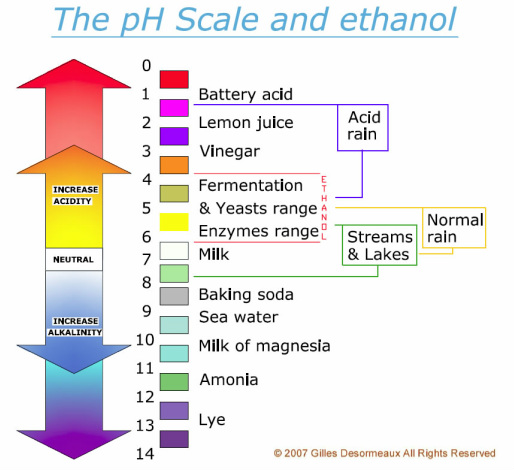 pH Scale - Acids bases & SolubilityBy Eli segre